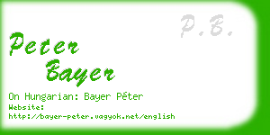 peter bayer business card