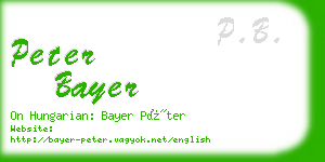 peter bayer business card